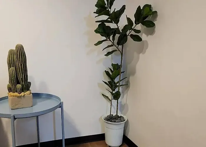 K-4 넓은 공간,3br,4층,엘리베이터 No,홍대, 신촌,루프탑 K4
